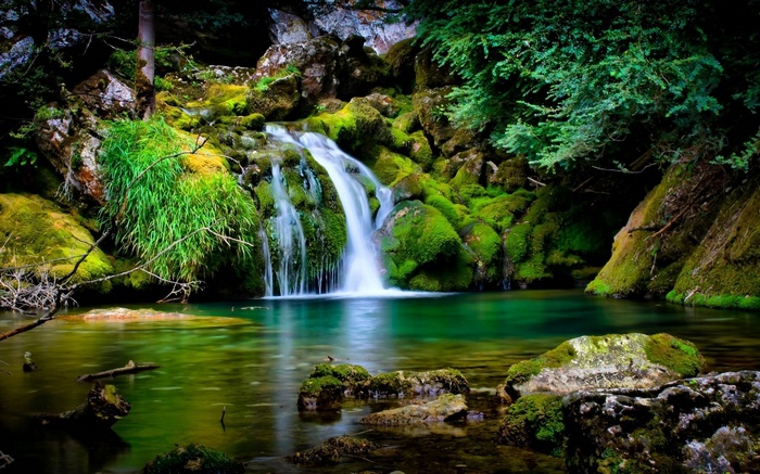 Waterfall cascading into a clear turquoise pool in a mossy forest
