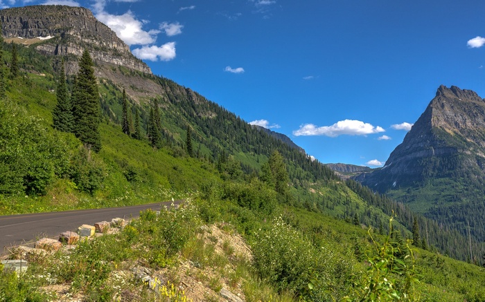 Mountainous landscape with a road and trees