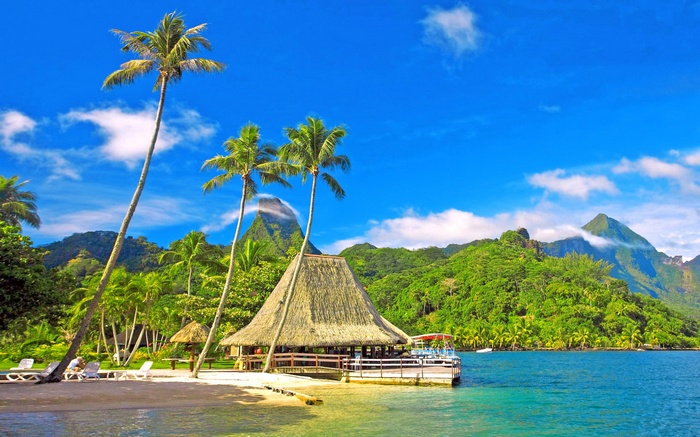 Tropical beach with palm trees and thatched hut