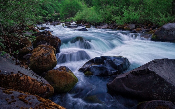 Fast-flowing river over rocks with green foliage