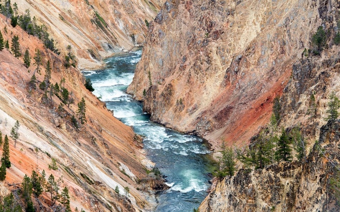 River flowing through a colorful canyon with pine trees