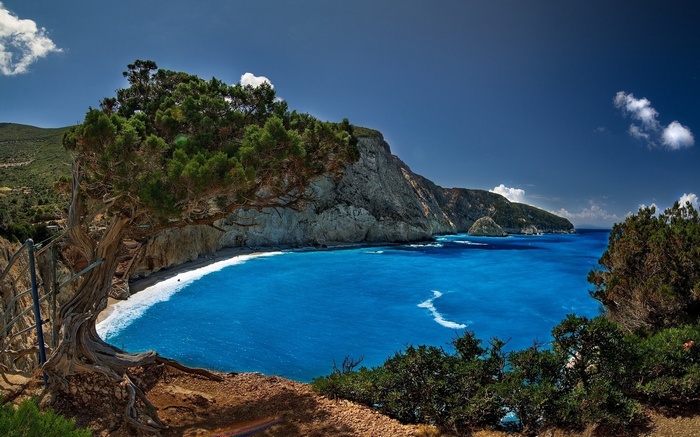 A scenic view of a blue bay with cliffs and a tree