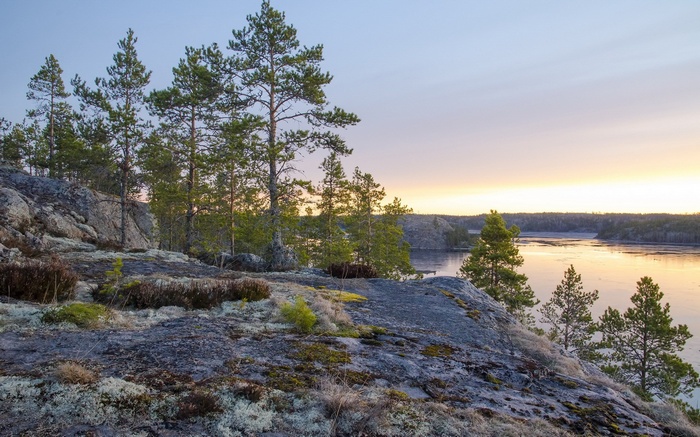 Rocky shore with pine trees overlooking a calm lake at sunset