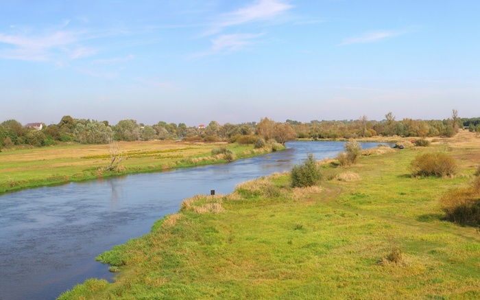 River flowing through a grassy landscape with trees