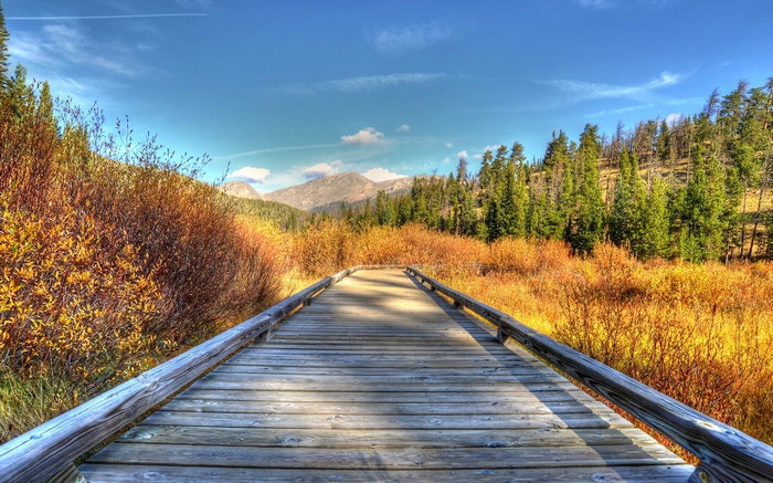 Wooden boardwalk through autumn foliage with mountains