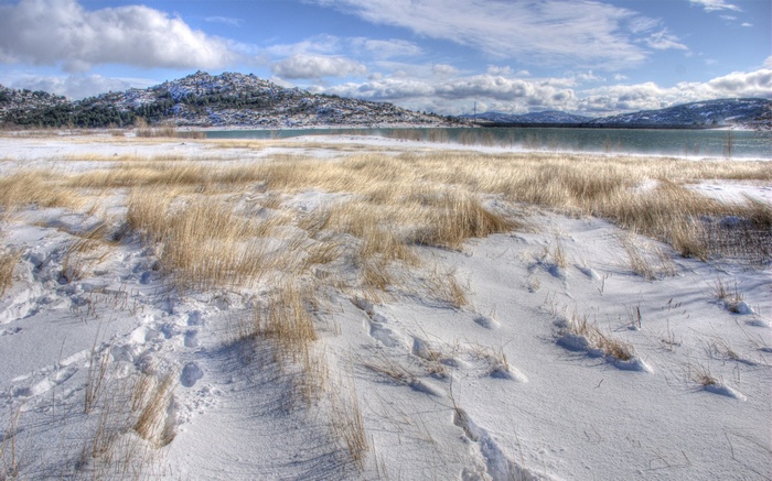 Snowy landscape with dry grass and a lake