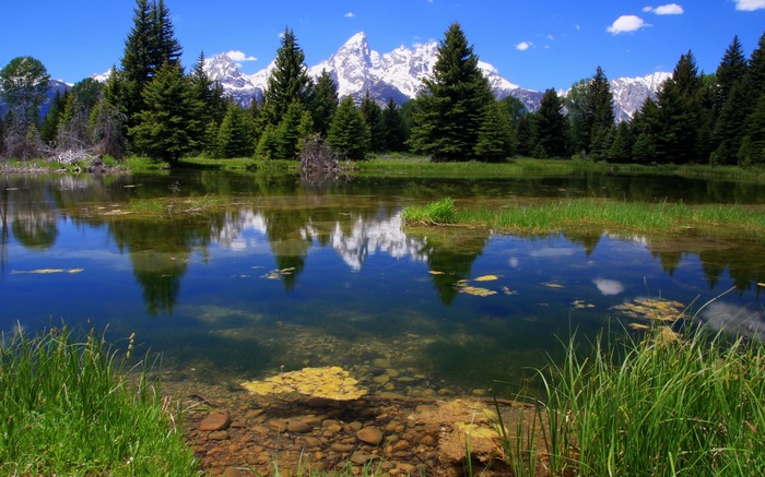 Snow-capped mountains reflected in a pond with pine trees
