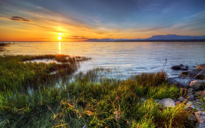 Sunset over a calm body of water with grassy shore
