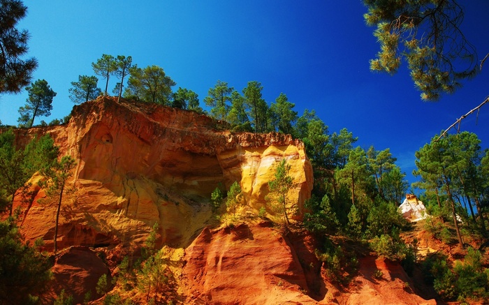 Ochre cliffs and pine trees under a blue sky