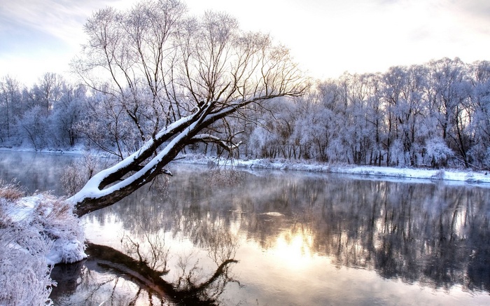 Winter river scene with snow-covered trees and reflection