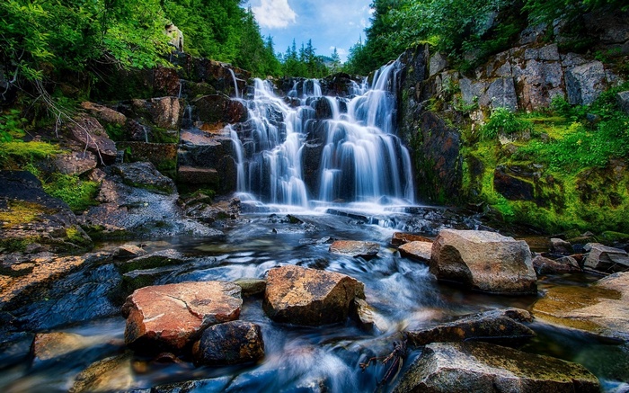 Waterfall cascading over rocks in a forest
