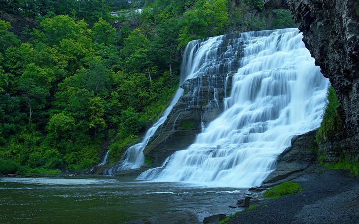 Cascading Waterfall in a Forested Gorge