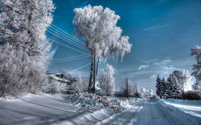 Snowy road with frosted trees and houses