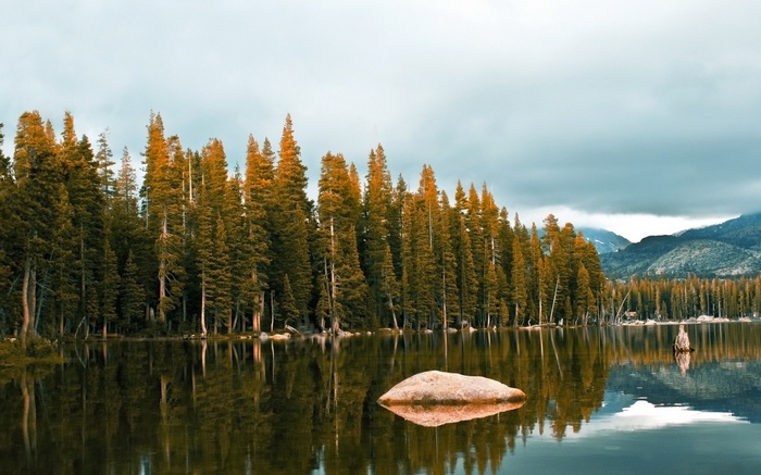 Lake with pine forest and mountains