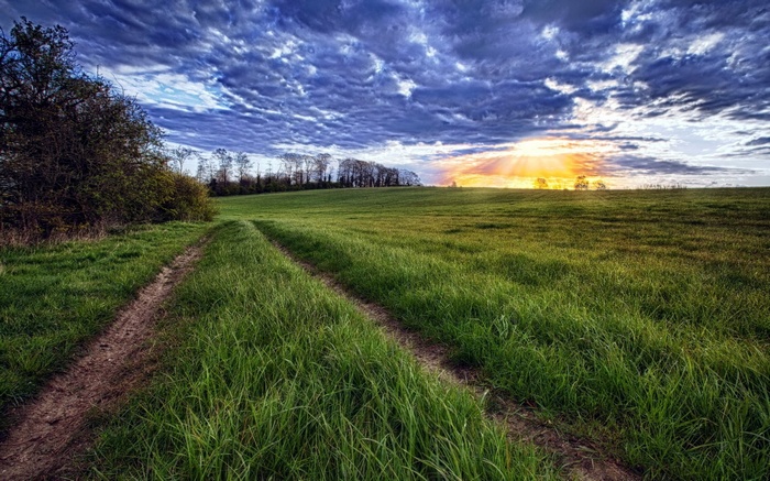Dirt path through a grassy field at sunset