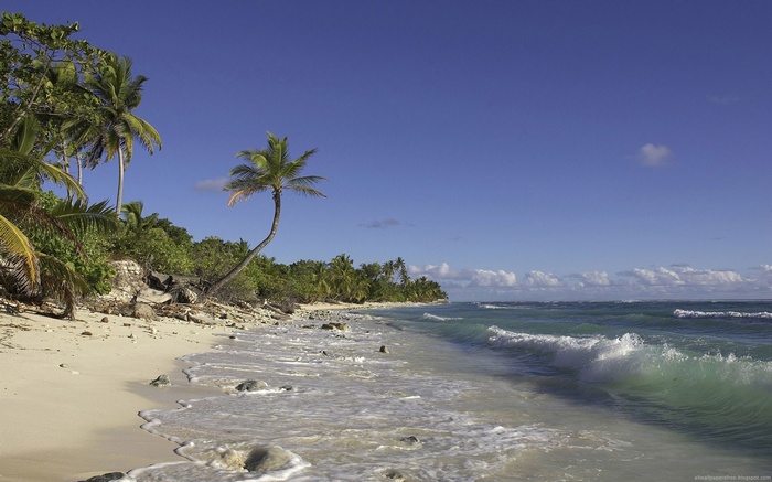Tropical beach with palm trees and ocean waves
