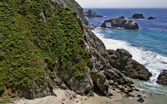 Rocky coastline with green vegetation and ocean waves