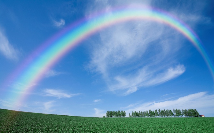 Rainbow over a green field and trees