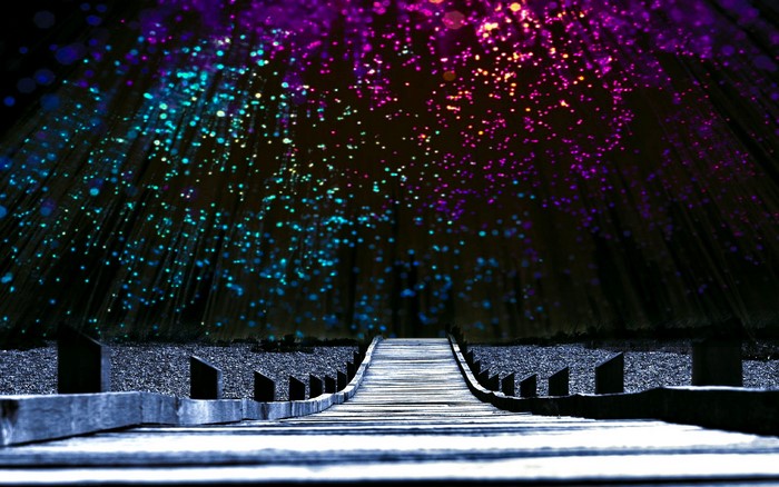Wooden bridge leading to a dark forest with colorful lights