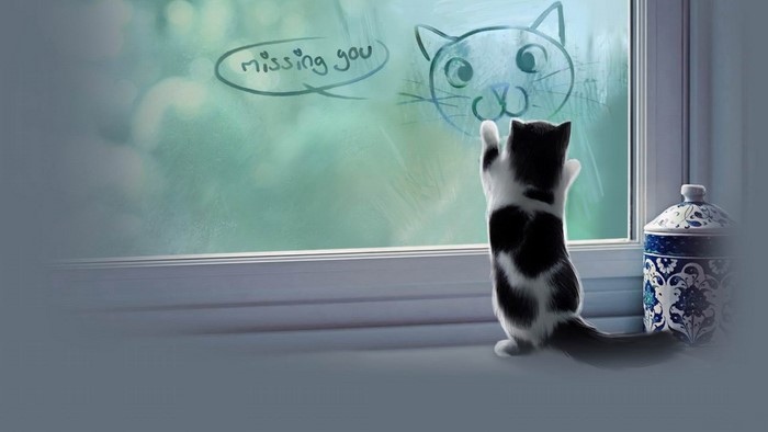Black and white cat looking at drawing on window