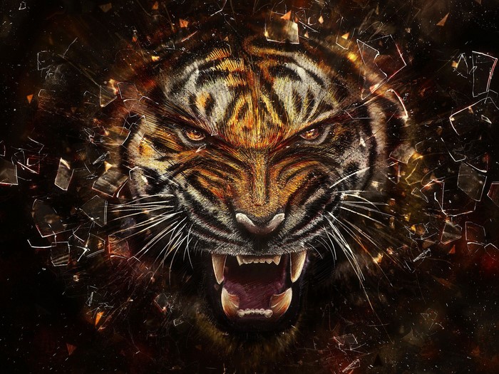 Tiger breaking through glass