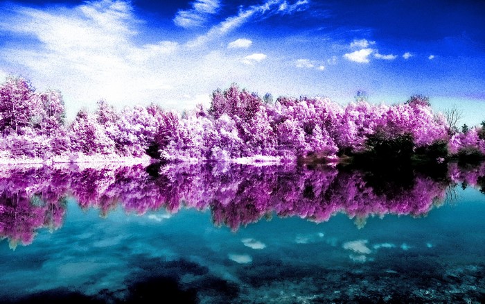 Pink trees reflected in blue water under a cloudy sky