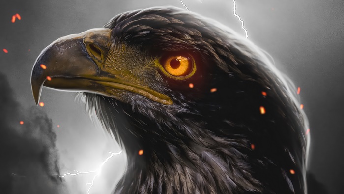 Eagle Eye 4K