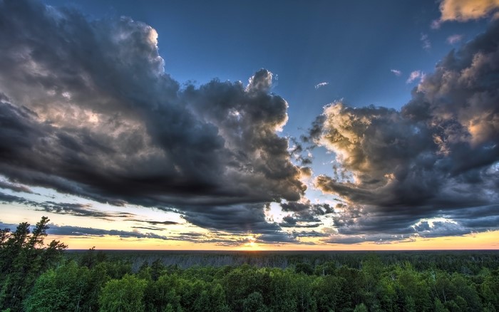 Sunset over a forest with dramatic clouds