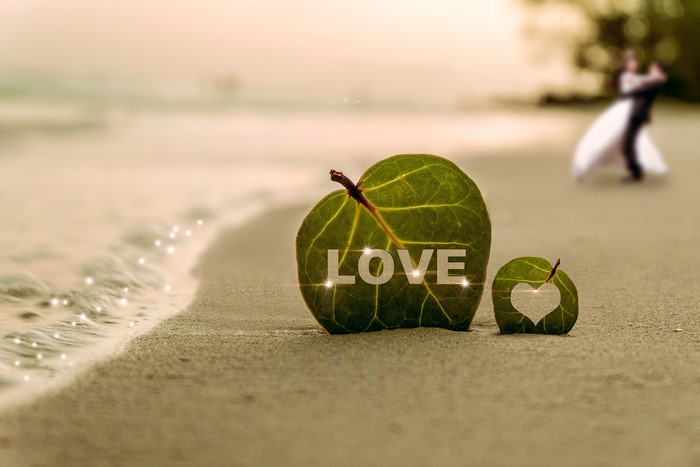 Love leaves on a beach with a couple dancing