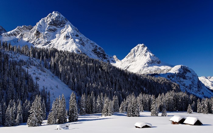 Snowy mountains and pine forest with cabins