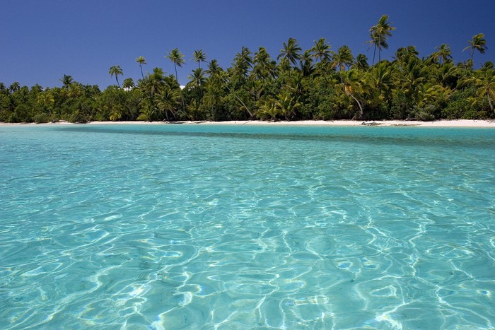 Tropical beach with palm trees and clear blue ocean