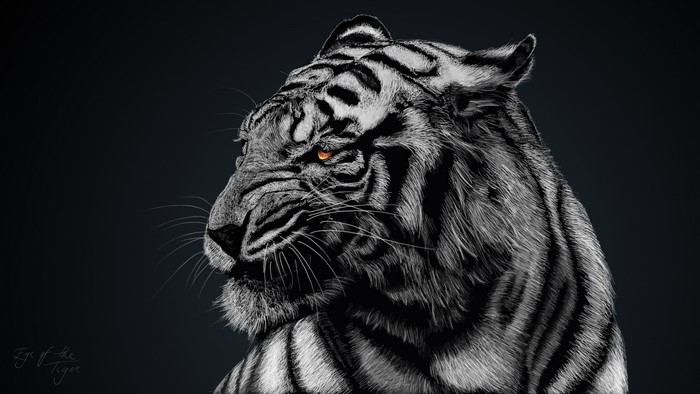 Eye of the Tiger