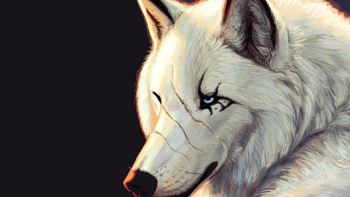 Majestic White Wolf with Piercing Blue Eye