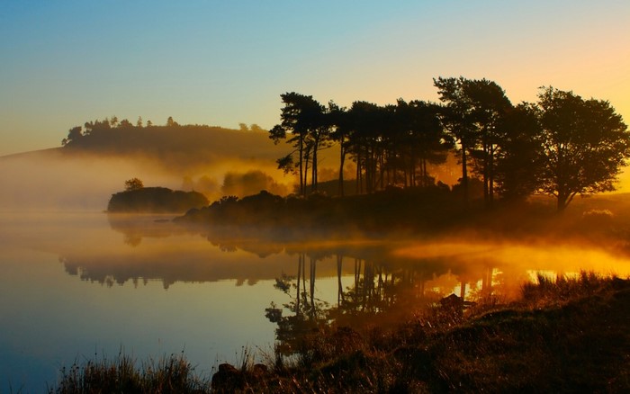Misty lake at sunrise with silhouetted trees
