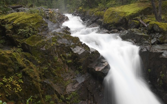 Waterfall flowing over mossy rocks in a forest