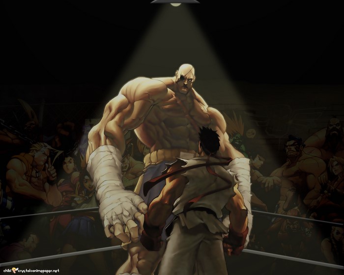 Ryu and Zangief from Street Fighter in a ring