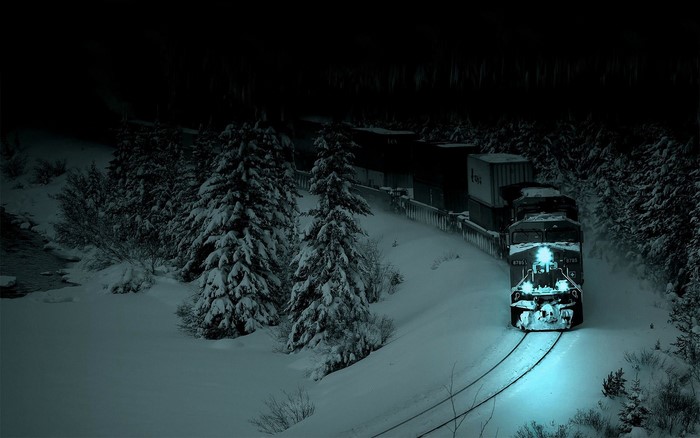 Train in a snowy forest at night