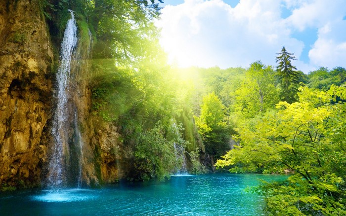 Waterfall in a green forest with sun rays