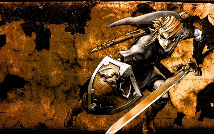 Link from The Legend of Zelda: Twilight Princess