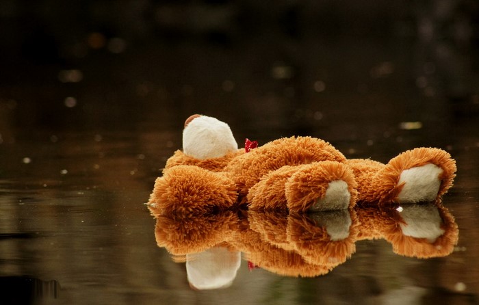 Teddy bear floating on water with reflection