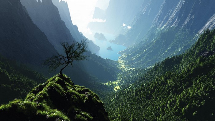 Mountain valley with a lone tree and a lake