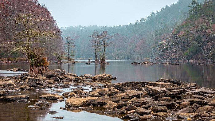 Lake with trees and rocks