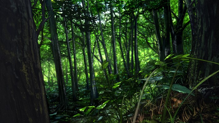Forest