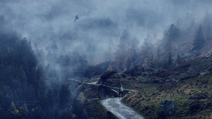 Person walking on a foggy mountain path with a bird flying