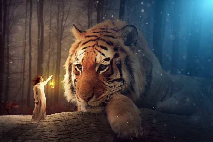 Girl with Lantern meets Giant Tiger in Snowy Forest