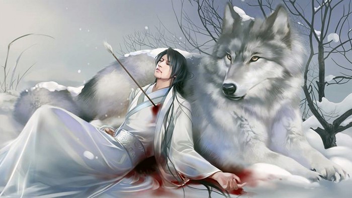 Man shot with arrow next to wolf in snow