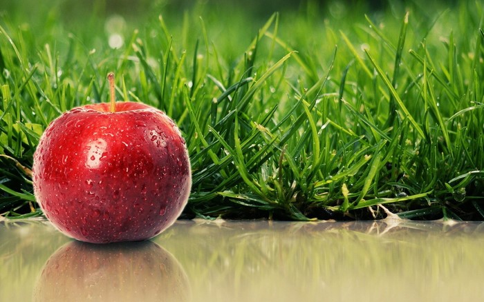 Red apple on wet grass