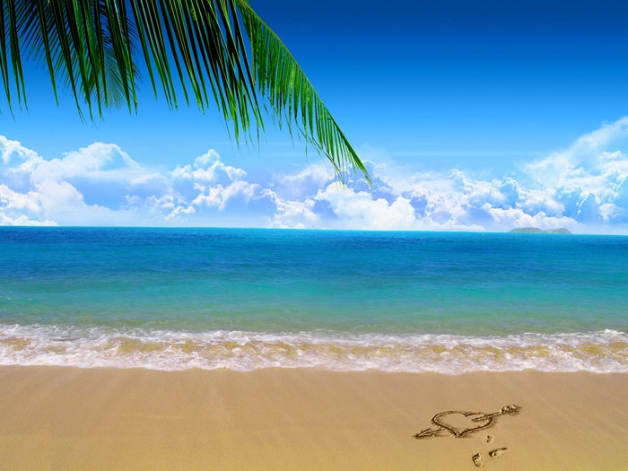 Beach with palm tree and heart drawn in sand