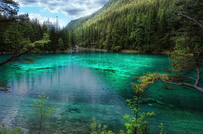 Turquoise lake in a dense forest in Austria