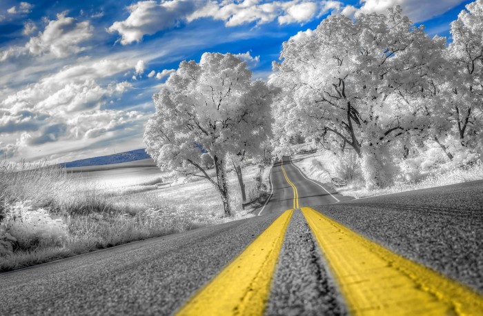 Road with yellow lines and trees under a cloudy sky